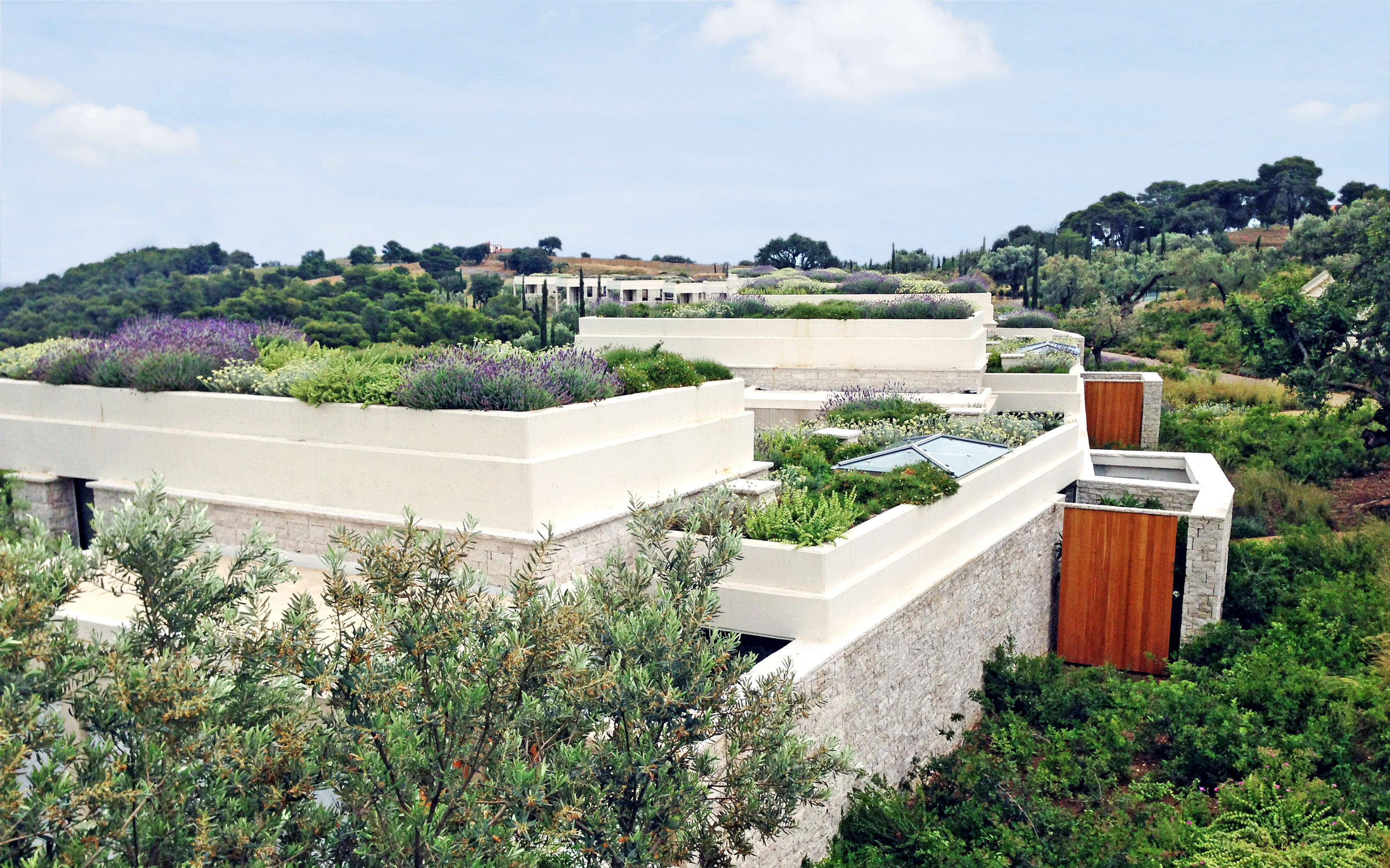 The roofs were predominantly planted with aromatic herbs. Green roofs with herbs on stone houses
